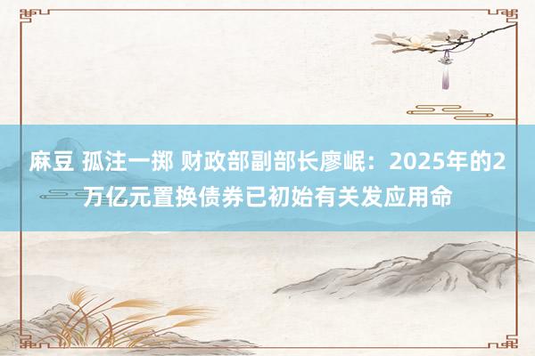 麻豆 孤注一掷 财政部副部长廖岷：2025年的2万亿元置换债券已初始有关发应用命