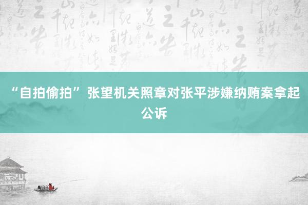 “自拍偷拍” 张望机关照章对张平涉嫌纳贿案拿起公诉