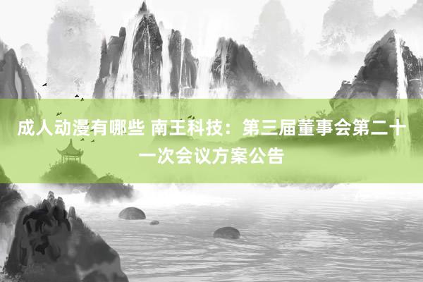 成人动漫有哪些 南王科技：第三届董事会第二十一次会议方案公告