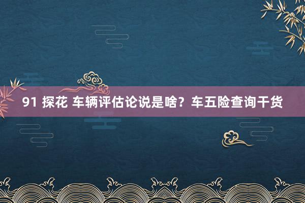 91 探花 车辆评估论说是啥？车五险查询干货