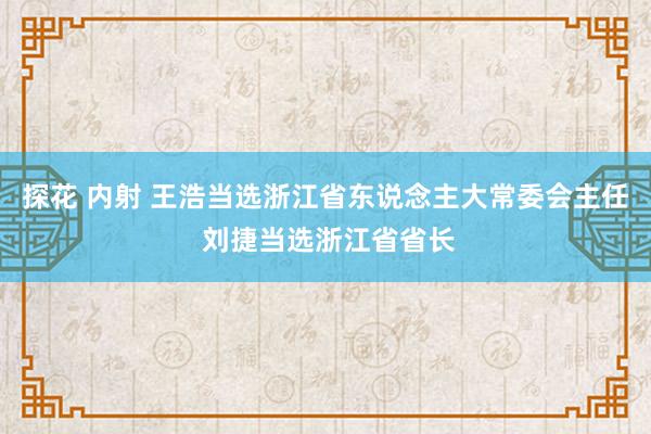 探花 内射 王浩当选浙江省东说念主大常委会主任 刘捷当选浙江省省长