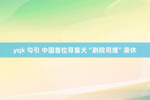 yqk 勾引 中国首位导盲犬“剧院司理”荣休