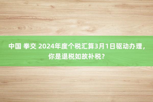 中国 拳交 2024年度个税汇算3月1日驱动办理，你是退税如故补税？