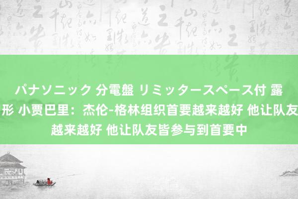 パナソニック 分電盤 リミッタースペース付 露出・半埋込両用形 小贾巴里：杰伦-格林组织首要越来越好 他让队友皆参与到首要中